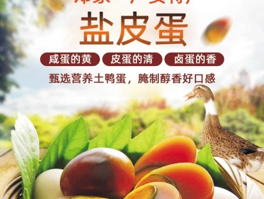 鄧家廣安鹽皮蛋